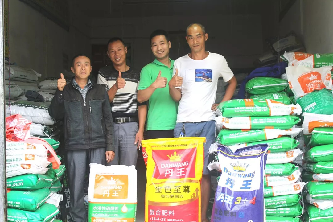 种植新会柑经验分享,种柑皮35年