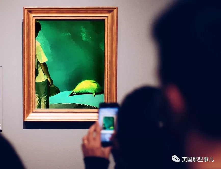 没有干劲的废柴海豹，只要心中有床，在哪里都可以豹睡个爽啊……