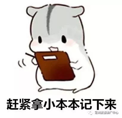 去香港高铁路线攻略,香港高铁便捷购票