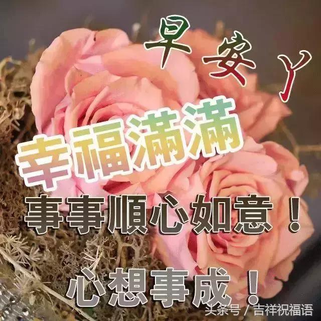 朋友愿你天天开心吉祥如意,朋友祝你年年十八你怎么回