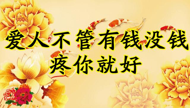 会动的图片一览表,会动的图片完整版