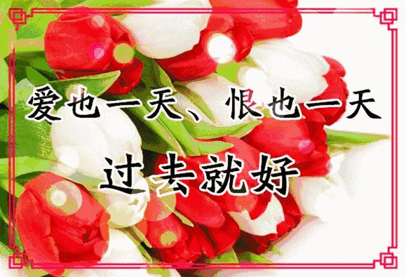 会动的11张图片,会动的花动态图片