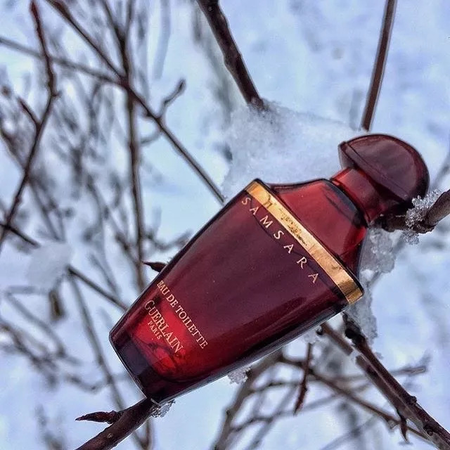 适合中式婚礼的香水好香,适合婚礼送的香水