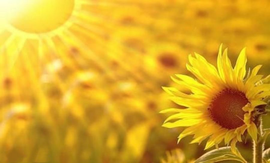 500个人的账单告诉我们:这就是生活的真相!