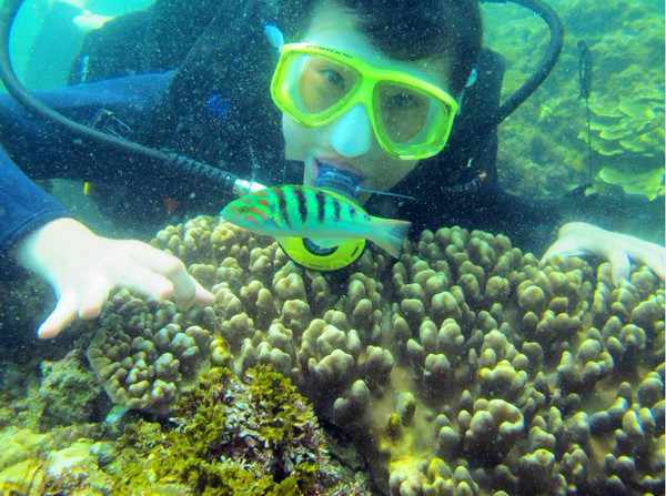 三亚自由行攻略四天三晚,三亚四天三晚自由行攻略最新