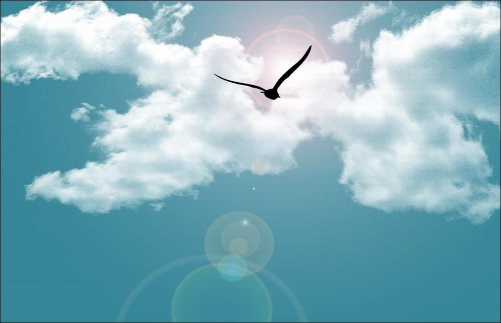 书荒求推荐高质量的小说完本,5本不出名却好看的历史小说