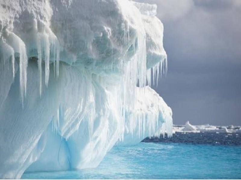 死亡冰柱周围有什么生物,死亡冰柱到底有多厉害