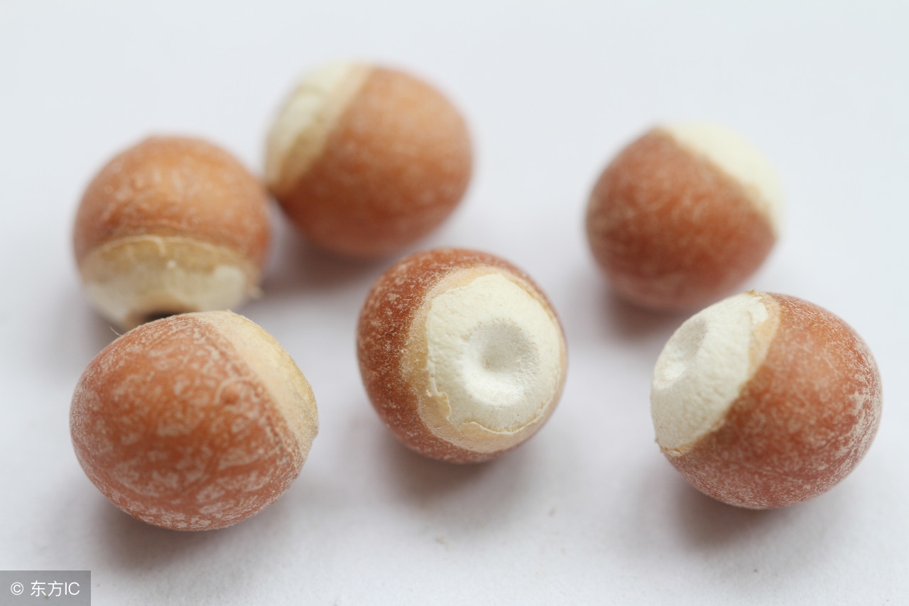 五谷杂粮类食物作用,各种五谷杂粮功效大全表