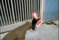 盘点近期即将上线的一款游戏,即将上线值得期待的游戏