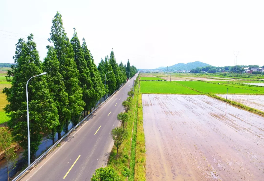 2022年长沙市获得国家级奖项数量,喜报湖南长沙