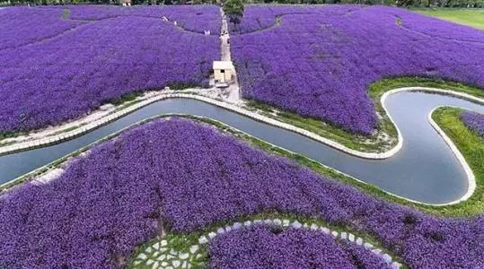 推荐3个上海周末好去处,上海这8个小众去处全免费