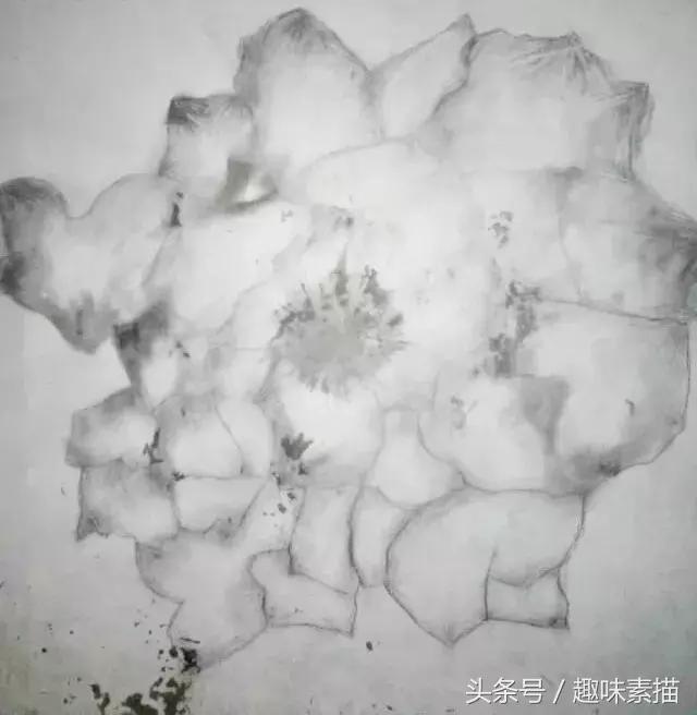 “老师你看我画得怎么样？”“你是魔鬼吗？滚！”