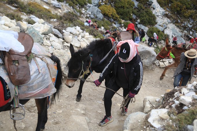 川西攻略自由行游3-4天,从你的全世界路过川西原版
