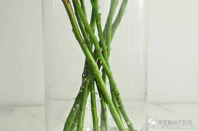 想当花艺师怎么自学,如何成为一个花艺师