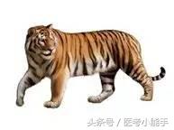 中药学超级宝典知识二,执业中药一考点精析