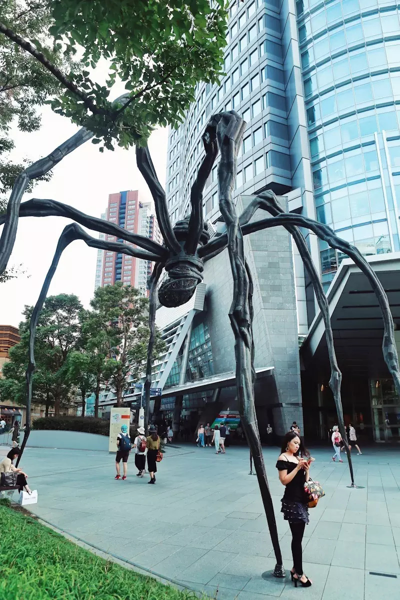 日本东京京都游记,生活在别处苏晴小说