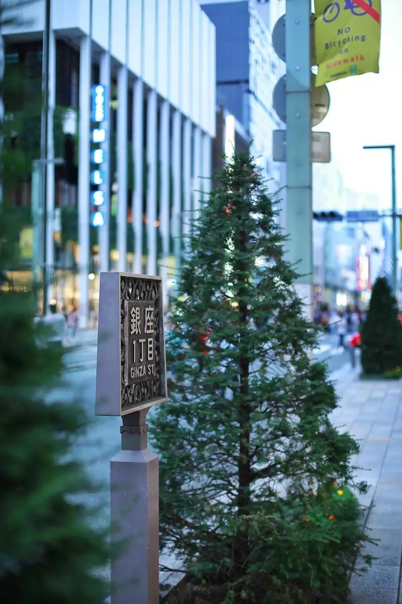 日本东京京都游记,生活在别处苏晴小说