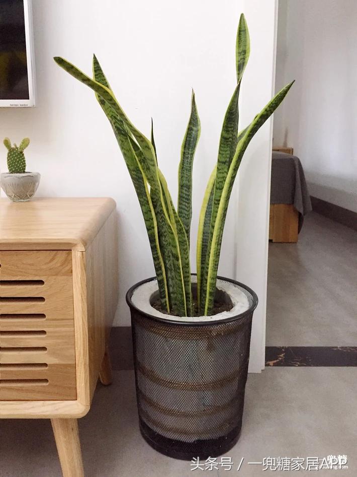 年轻人,谁不是一边感叹房子小,一边在小房子里拼命折腾?