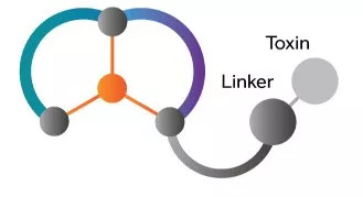 多肽类药物的研究发展,多肽药物的发展前景