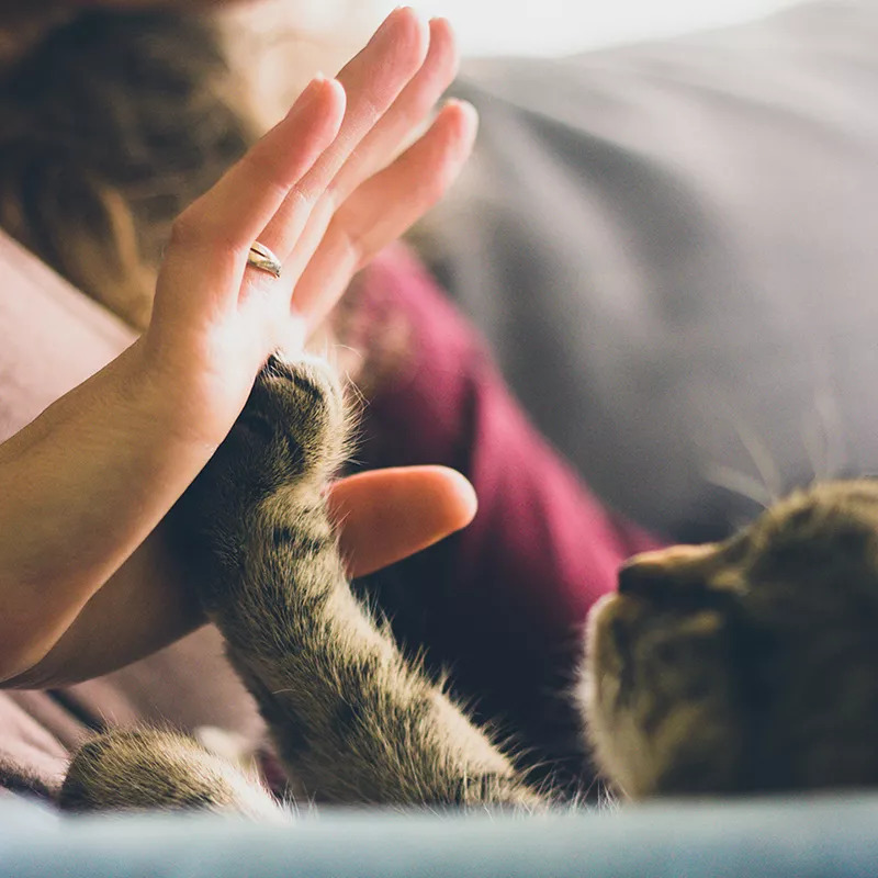 新生儿脸上有小红点是白头,宝宝脸上的小红点变成白点