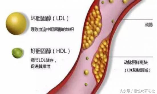 榴莲虽好,但多吃后也会有这五种问题!