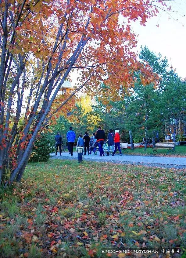 国庆伏尔加庄园,哈尔滨伏尔加庄园三日游