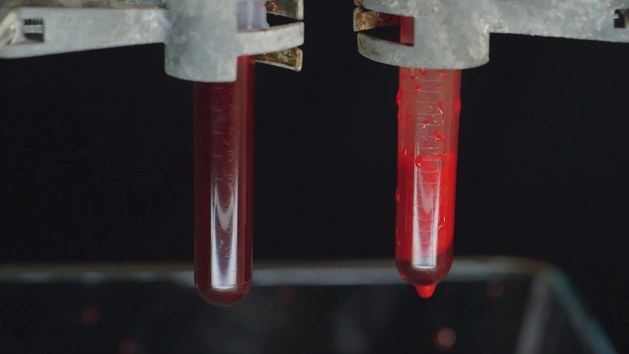 明明是科普纪录片，主持人却用自己的血做起了“暗黑美食”