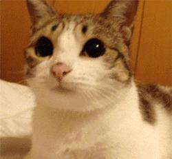 国庆广西人多吗,广西国庆节人最少的地方