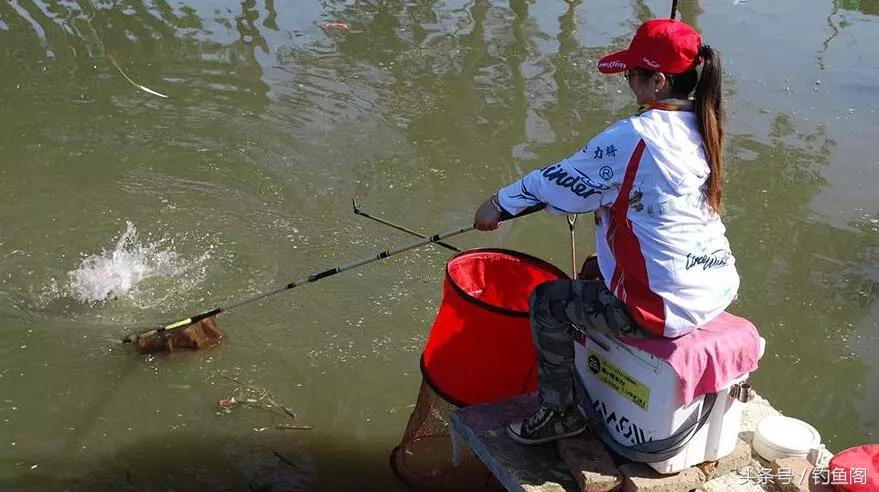 初学者如何选一条好的鱼竿,如何选择鱼竿最合适