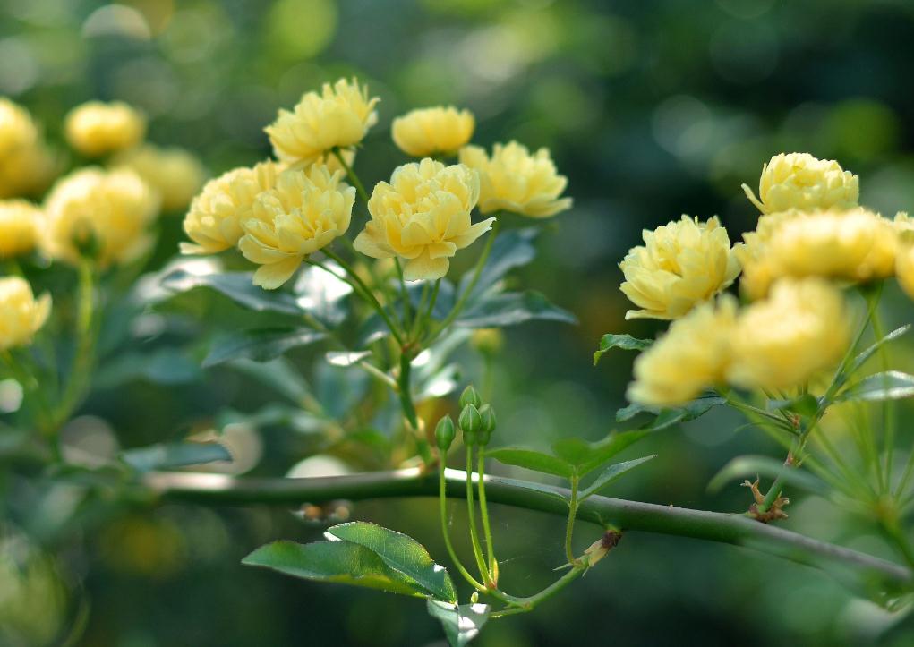 当你一无所有的时候要怎么活,当你一无所有的时候折腾