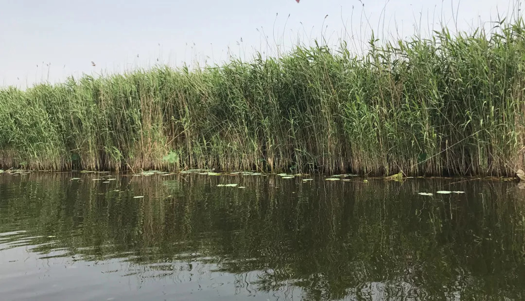 下站该往哪里去,下站了该去哪