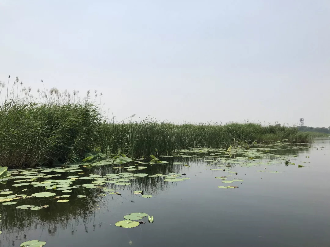 下站该往哪里去,下站了该去哪