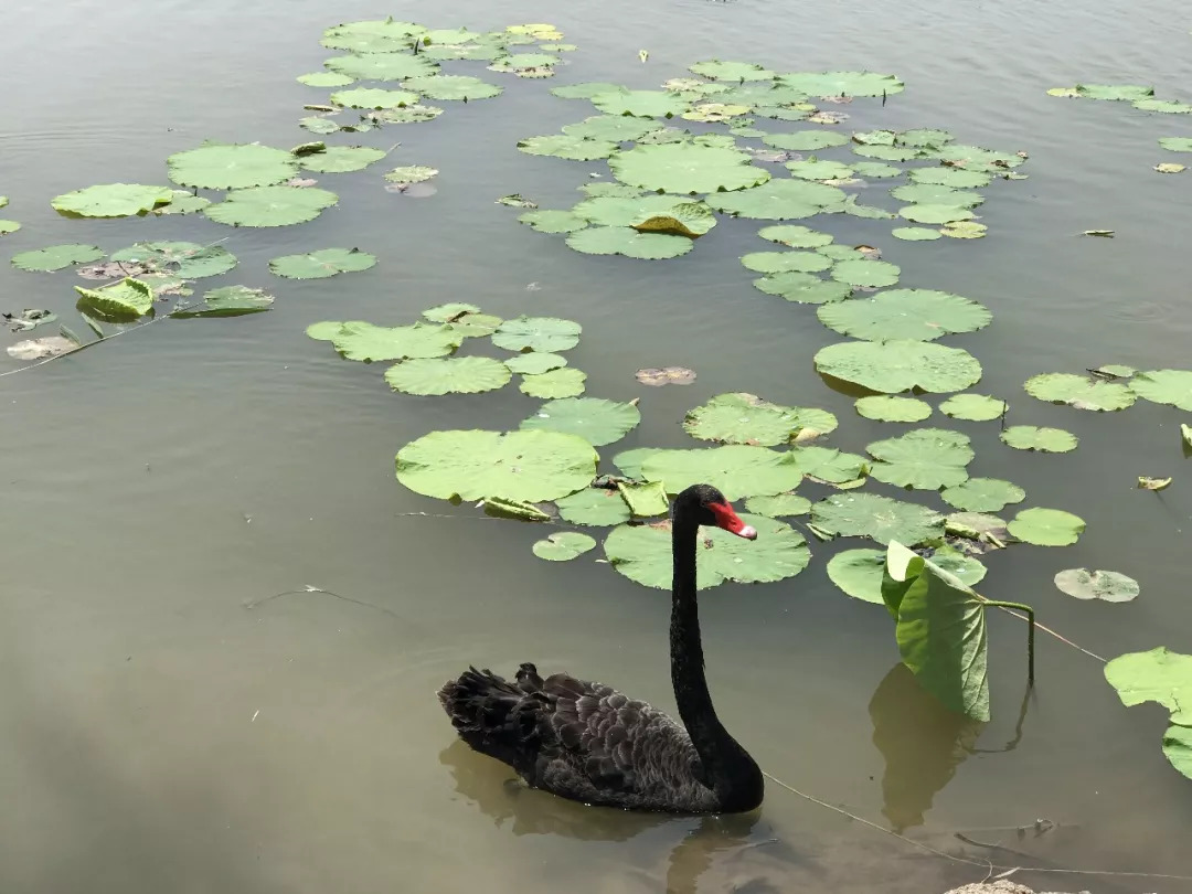 下站该往哪里去,下站了该去哪