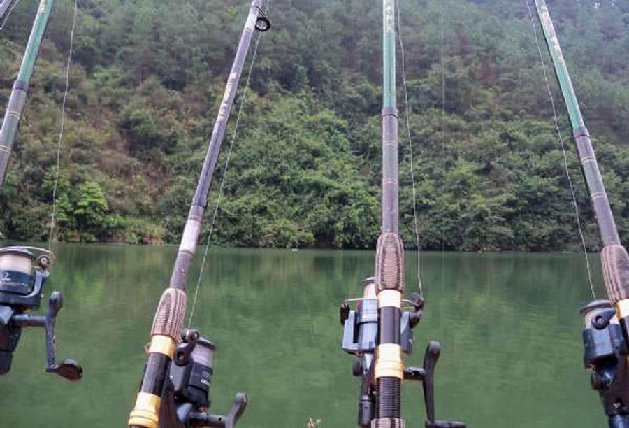 钓鲤鱼新鲜玉米好还是发酵玉米好,钓鲤鱼挂玉米粒的正确方法视频