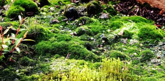 小小设计师绘本故事,小小建筑师绘本故事图片