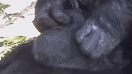 为啥那么多人爱看挤痘,为啥喜欢看挤痘痘