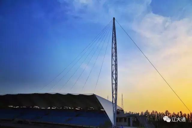 辽大毕业生真实就业,辽大本科毕业要求