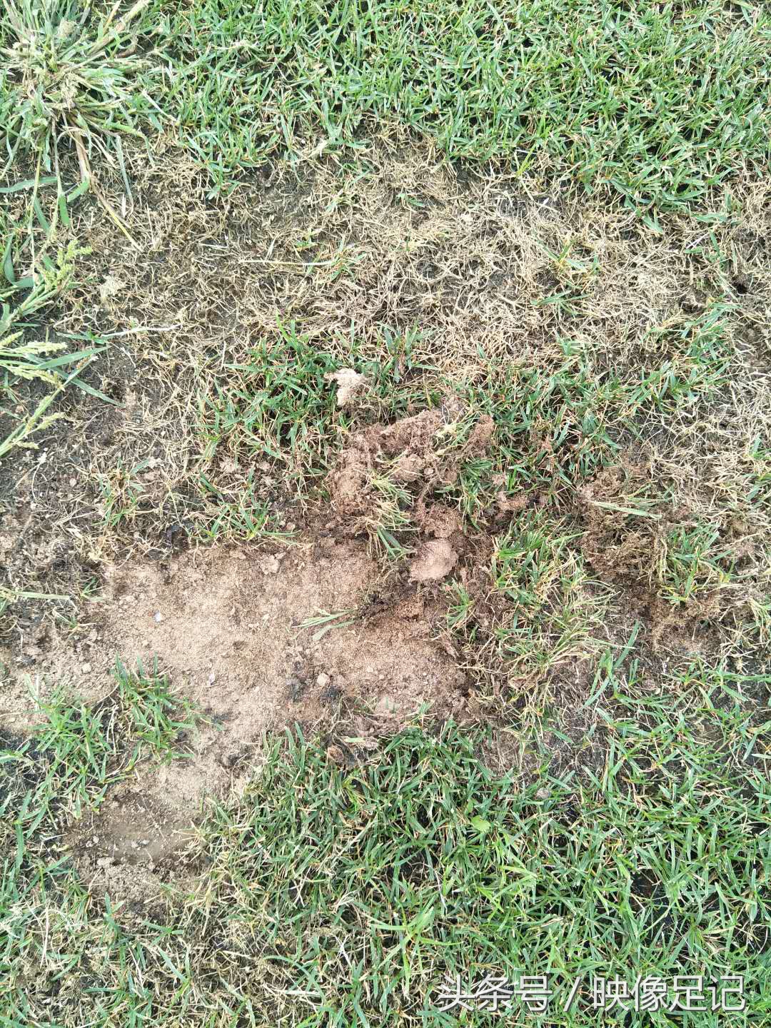 涓浗瓒冲崗濂宠冻鎯ㄨ触鑽峰叞,涓浗濂宠冻璁╀汉蹇冪柤