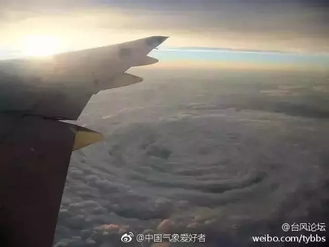 关于山竹的9个真相,山竹的危害到底有多大