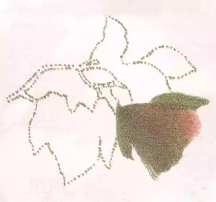 国画牡丹叶子怎样布局,国画牡丹叶子的布局