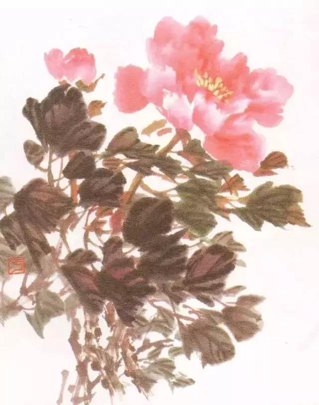 国画牡丹叶子怎样布局,国画牡丹叶子的布局