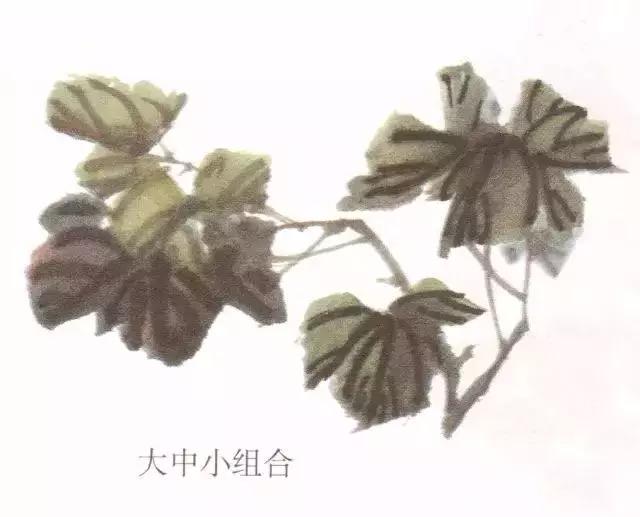 国画牡丹叶子怎样布局,国画牡丹叶子的布局