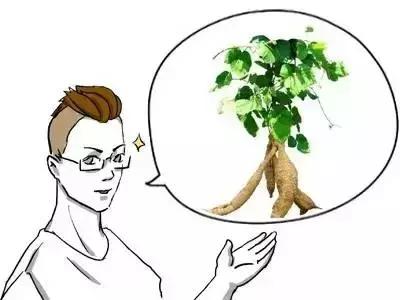 吃杂粮的功效与作用,二十四种杂粮功效大揭秘受用一生