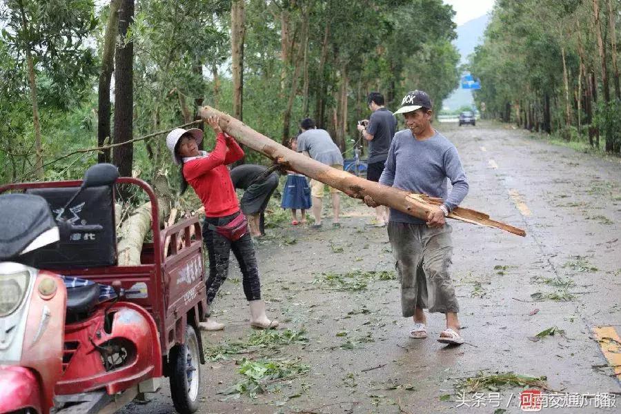 “山竹”过后首个工作日：广东人爬树都要去上班！