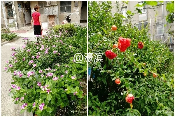 老破小、脏乱差?新桥新村是这样吗?