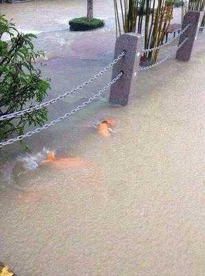 台风山竹造成的主要影响,卡特里娜飓风和山竹台风谁强