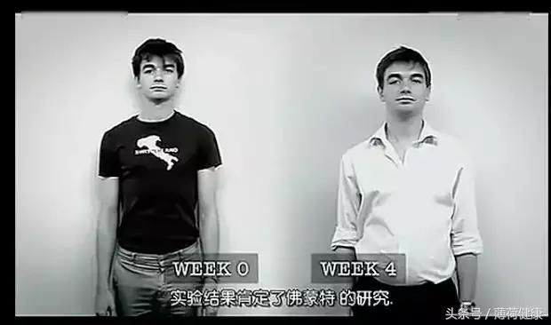 半夜肚子饿吃什么不会胖,有没有吃多少都不会胖的食物