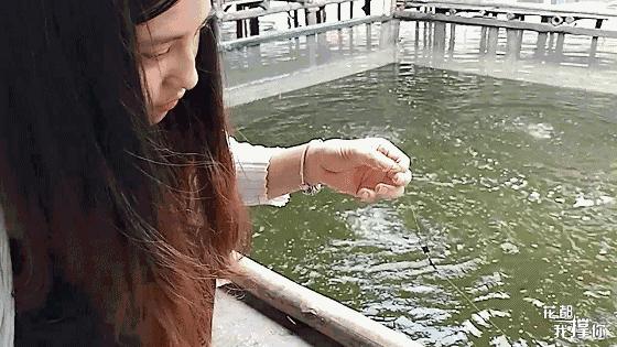 花都三东钓虾场,周末想去海边玩去哪里