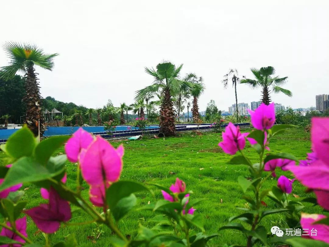 发现丨一江收眼底，意趣味不尽，匠心独运又妙趣天成——海东方文创园