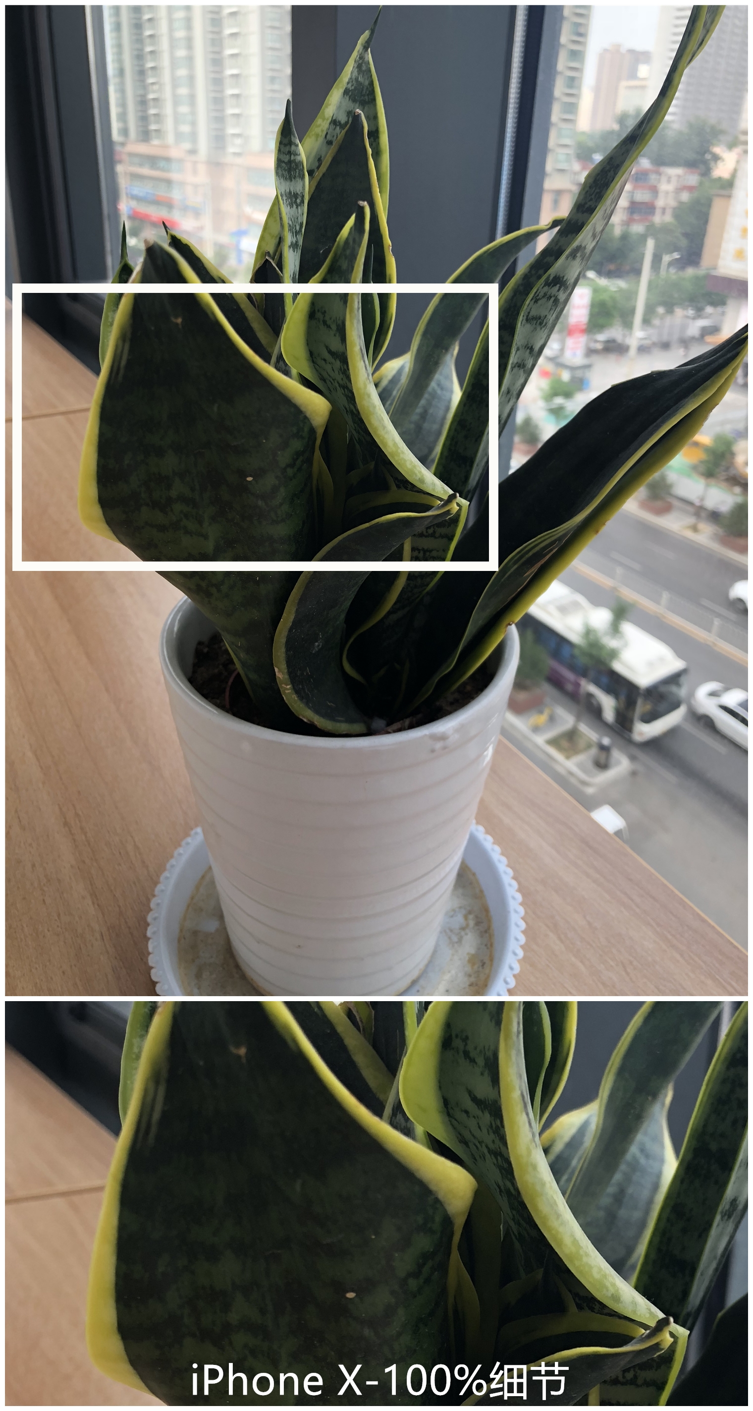 荣耀8x和iphonex有什么区别,荣耀8与iphonex的相片比较